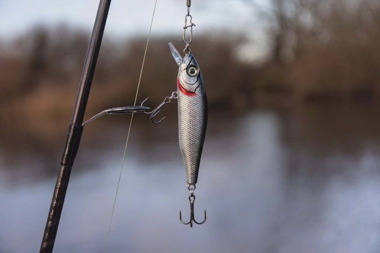 Fishing tackle gallery photo