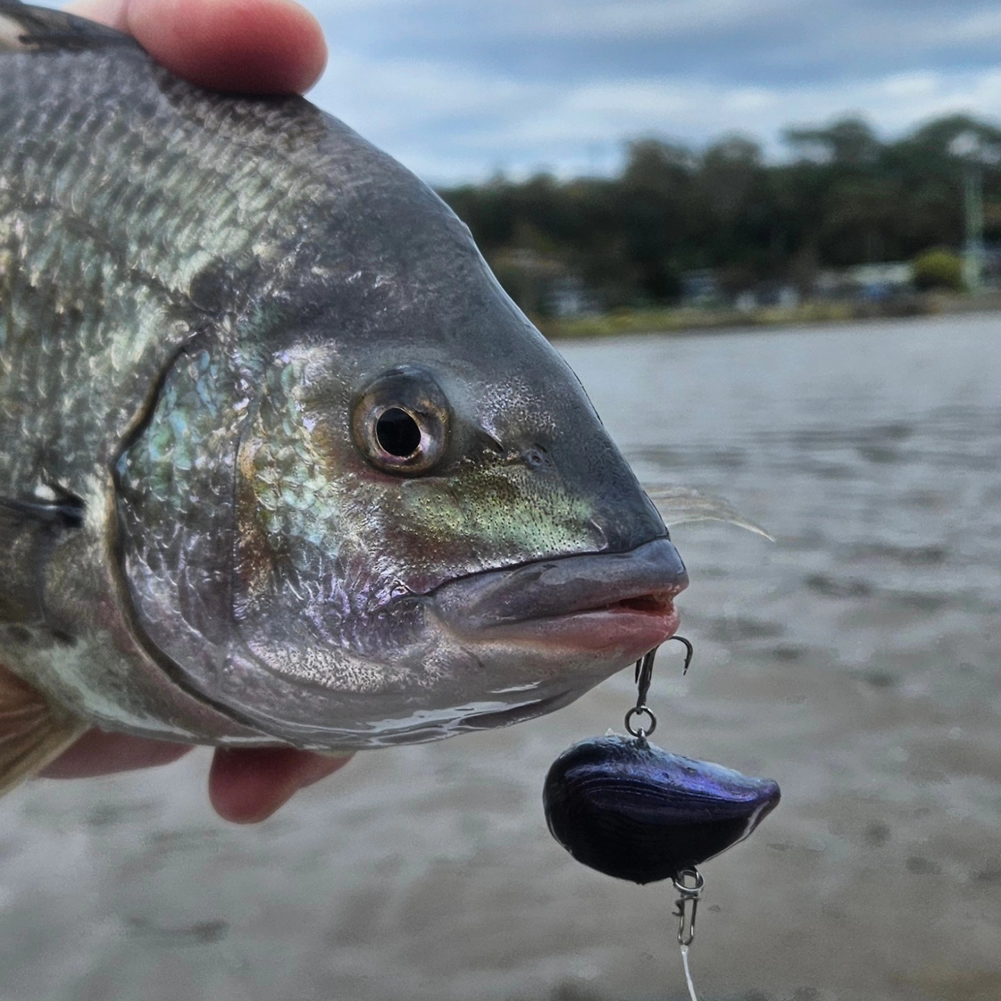 Fishmad handmade tackle image