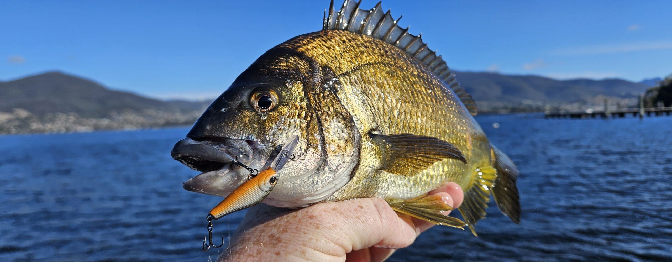 Fishing gear close-up photo